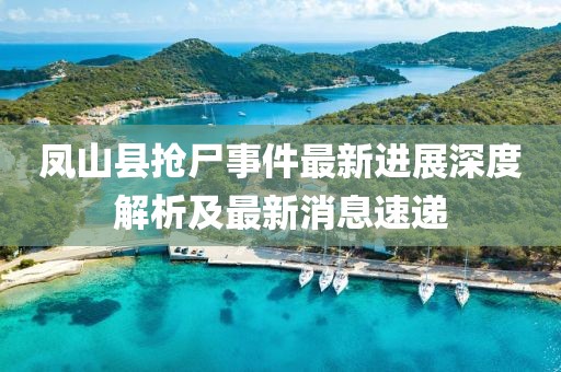 鳳山縣搶尸事件最新進(jìn)展深度解析及最新消息速遞