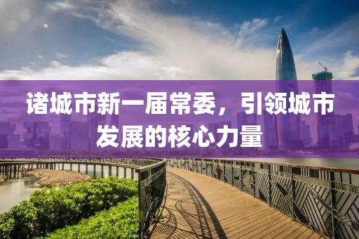 諸城市新一屆常委，引領(lǐng)城市發(fā)展的核心力量