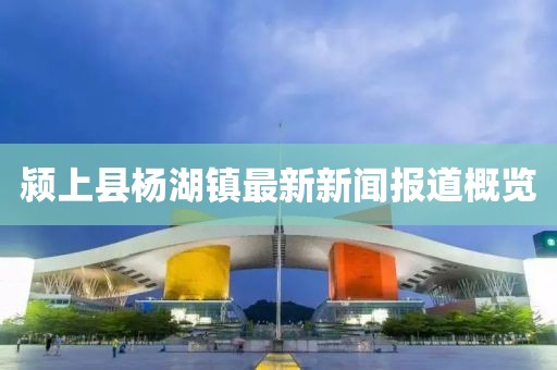 潁上縣楊湖鎮最新新聞報道概覽