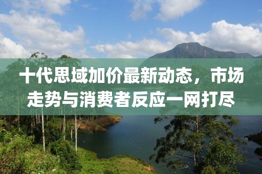 十代思域加價(jià)最新動(dòng)態(tài)，市場(chǎng)走勢與消費者反應一網(wǎng)打盡