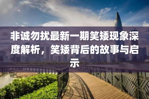 非誠勿擾最新一期笑矮現象深度解析，笑矮背后的故事與啟示