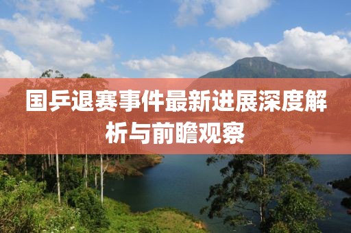 國乒退賽事件最新進(jìn)展深度解析與前瞻觀(guān)察