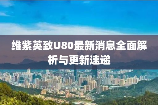 維紫英致U80最新消息全面解析與更新速遞