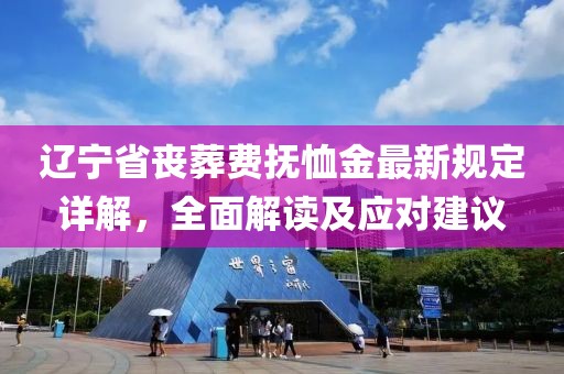 遼寧省喪葬費撫恤金最新規定詳解，全面解讀及應對建議