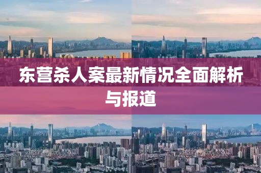 東營(yíng)殺人案最新情況全面解析與報道