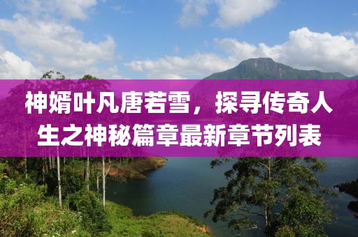 神婿葉凡唐若雪，探尋傳奇人生之神秘篇章最新章節列表