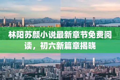 林陽(yáng)蘇顏小說(shuō)最新章節免費閱讀，初六新篇章揭曉
