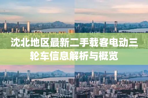 沈北地區最新二手載客電動(dòng)三輪車(chē)信息解析與概覽