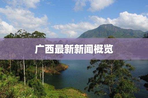 廣西最新新聞概覽