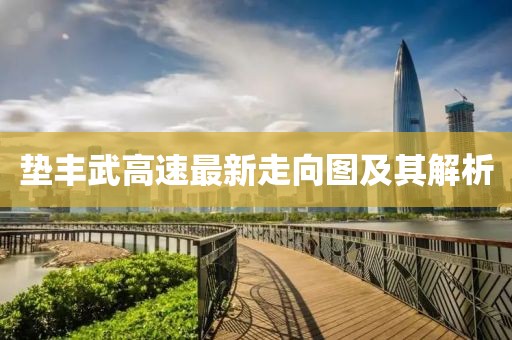 墊豐武高速最新走向圖及其解析