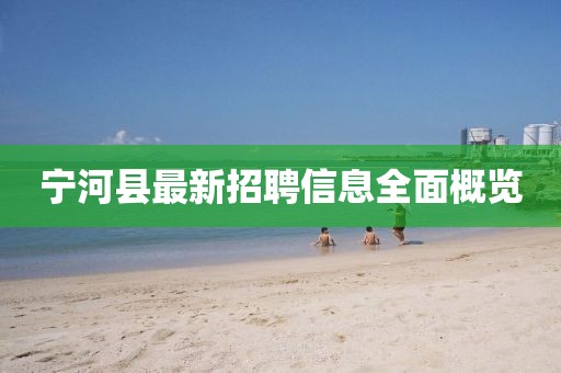 寧河縣最新招聘信息全面概覽