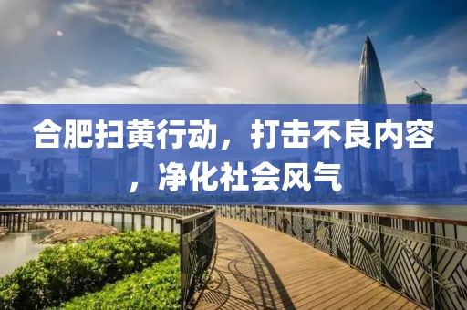 合肥掃黃行動(dòng)，打擊不良內容，凈化社會(huì )風(fēng)氣