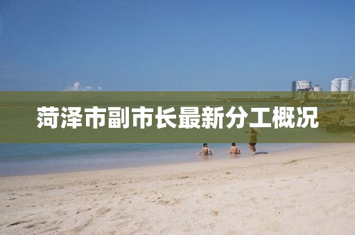 菏澤市副市長(cháng)最新分工概況