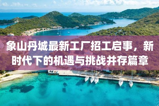 象山丹城最新工廠(chǎng)招工啟事，新時(shí)代下的機遇與挑戰并存篇章