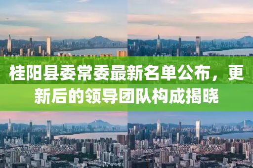 桂陽(yáng)縣委常委最新名單公布，更新后的領(lǐng)導團隊構成揭曉