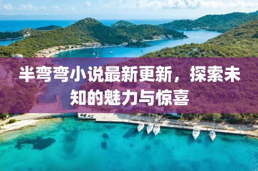 半彎彎小說(shuō)最新更新，探索未知的魅力與驚喜
