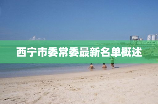 西寧市委常委最新名單概述