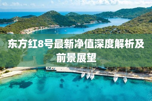 東方紅8號最新凈值深度解析及前景展望