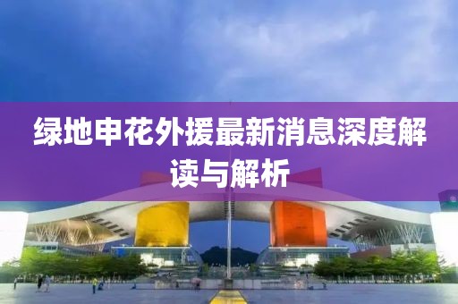 綠地申花外援最新消息深度解讀與解析