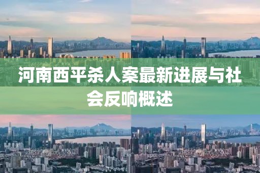 河南西平殺人案最新進(jìn)展與社會(huì )反響概述