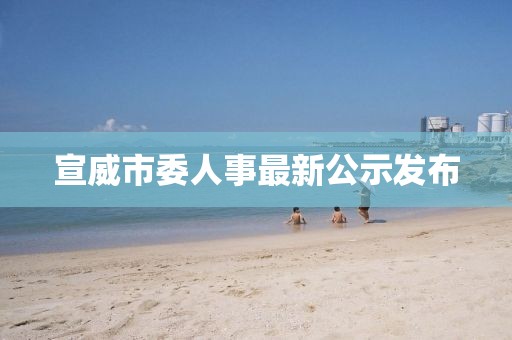 宣威市委人事最新公示發(fā)布