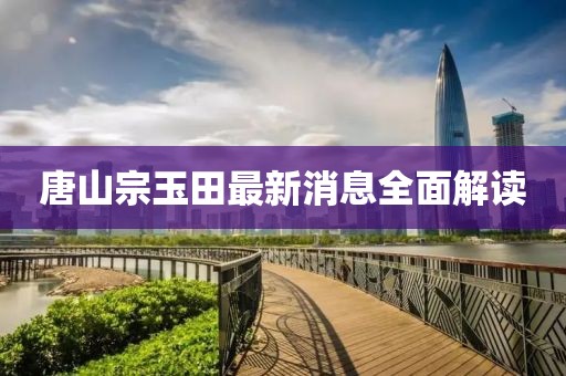唐山宗玉田最新消息全面解讀