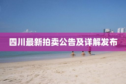 四川最新拍賣(mài)公告及詳解發(fā)布