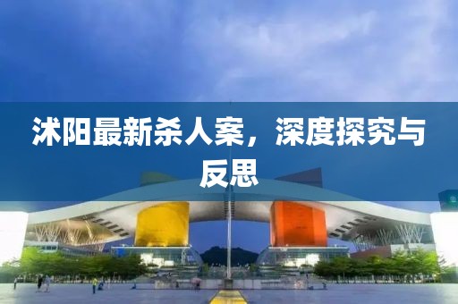 沭陽(yáng)最新殺人案，深度探究與反思