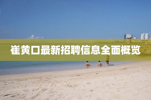 崔黃口最新招聘信息全面概覽