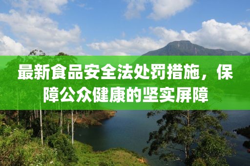 最新食品安全法處罰措施，保障公眾健康的堅實(shí)屏障