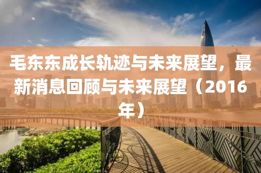 毛東東成長(cháng)軌跡與未來(lái)展望，最新消息回顧與未來(lái)展望（2016年）