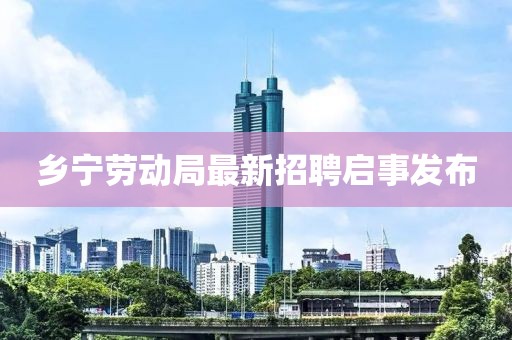 鄉寧勞動(dòng)局最新招聘啟事發(fā)布