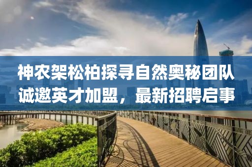 神農架松柏探尋自然奧秘團隊誠邀英才加盟，最新招聘啟事