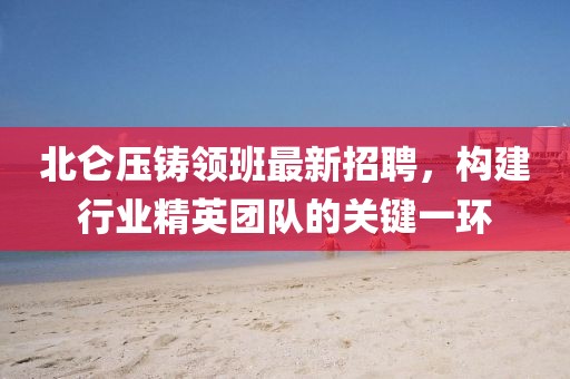 北侖壓鑄領(lǐng)班最新招聘，構建行業(yè)精英團隊的關(guān)鍵一環(huán)