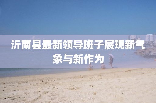 沂南縣最新領(lǐng)導班子展現新氣象與新作為