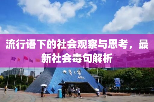流行語(yǔ)下的社會(huì )觀(guān)察與思考，最新社會(huì )毒句解析