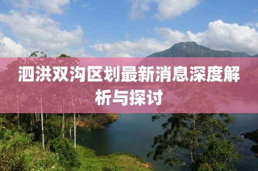 泗洪雙溝區劃最新消息深度解析與探討