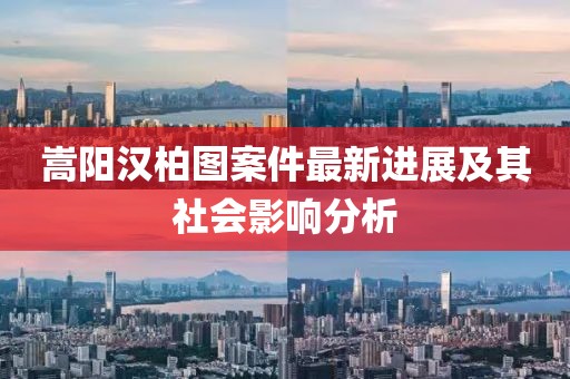 嵩陽(yáng)漢柏圖案件最新進(jìn)展及其社會(huì )影響分析