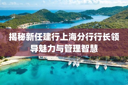 揭秘新任建行上海分行行長(cháng)領(lǐng)導魅力與管理智慧