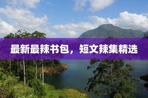 最新最辣書(shū)包，短文辣集精選