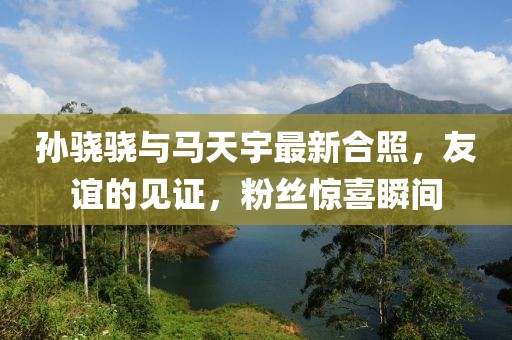 孫驍驍與馬天宇最新合照，友誼的見(jiàn)證，粉絲驚喜瞬間