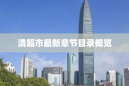 清超市最新章節目錄概覽