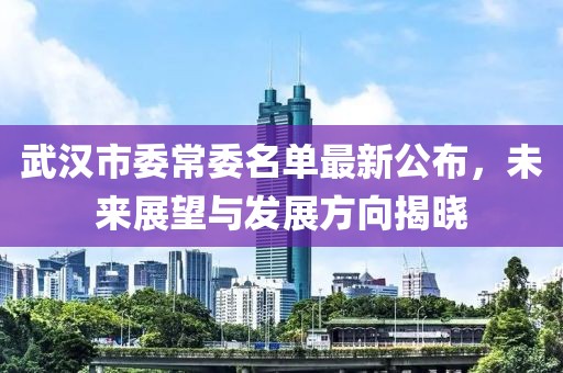 武漢市委常委名單最新公布，未來(lái)展望與發(fā)展方向揭曉