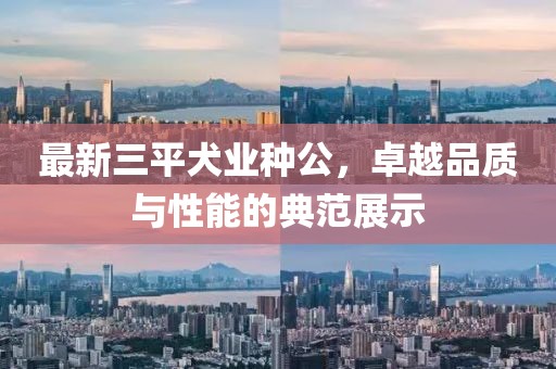 最新三平犬業(yè)種公，卓越品質(zhì)與性能的典范展示