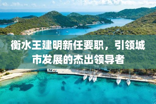 衡水王建明新任要職，引領(lǐng)城市發(fā)展的杰出領(lǐng)導者