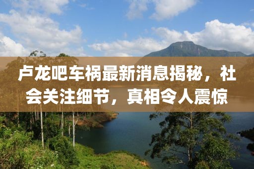 盧龍吧車(chē)禍最新消息揭秘，社會(huì )關(guān)注細節，真相令人震驚