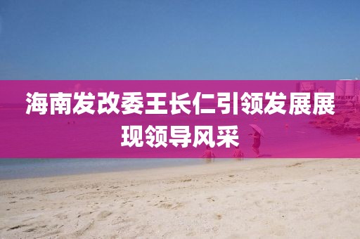 海南發(fā)改委王長(cháng)仁引領(lǐng)發(fā)展展現領(lǐng)導風(fēng)采