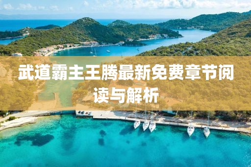 武道霸主王騰最新免費章節閱讀與解析