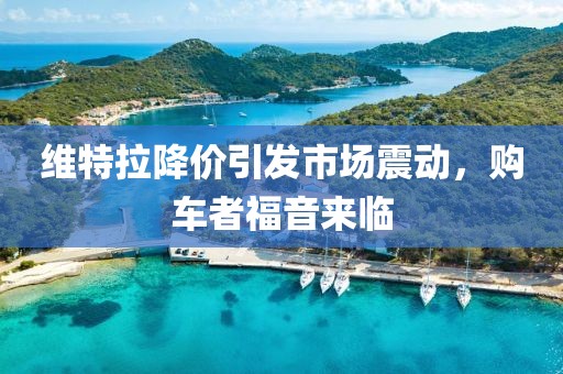 維特拉降價(jià)引發(fā)市場(chǎng)震動(dòng)，購車(chē)者福音來(lái)臨