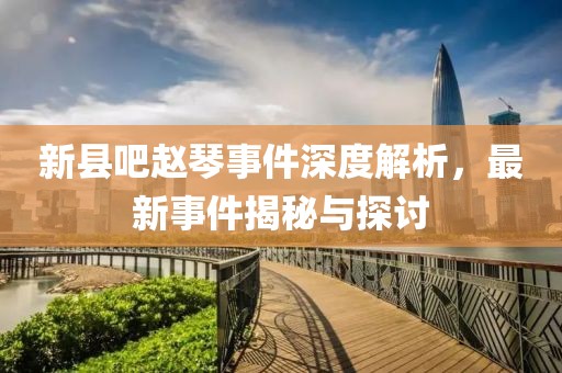 新縣吧趙琴事件深度解析，最新事件揭秘與探討